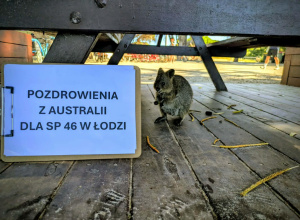 Pozdrowienia prosto z Australii!