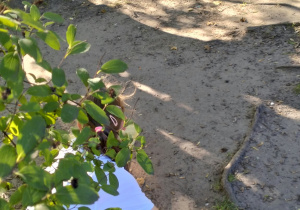 33. Akcja Sprzątania Świata – „SOS dla wody”.