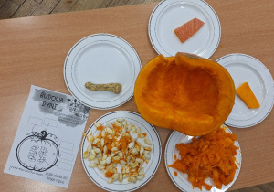 Dzień Dyni w klasie 2a_odkrywczo i kreatywnie_budowa dyni.