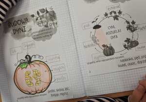 Dzień Dyni w klasie 2a_odkrywczo i kreatywnie_budowa dyni_karty pracy.