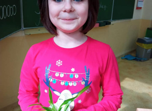 Sadzenie roślin