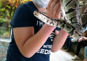 Uczniowie oglądają zwierzęta w ZOO.