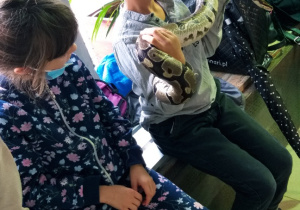 Uczniowie oglądają zwierzęta w ZOO.