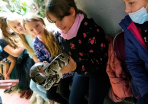 Uczniowie oglądają zwierzęta w ZOO.