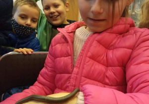 Uczniowie oglądają zwierzęta w ZOO.