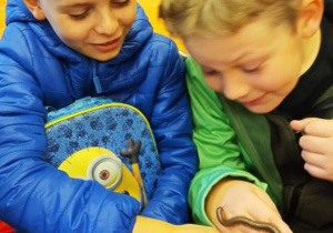 Uczniowie oglądają zwierzęta w ZOO.