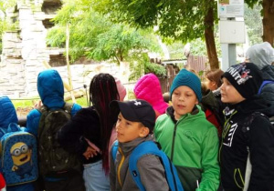 Uczniowie oglądają zwierzęta w ZOO.
