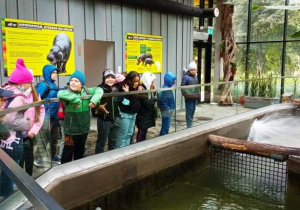 Uczniowie oglądają zwierzęta w ZOO.