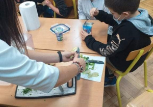 Uczniowie wykonują różne zdrowe potrawy.