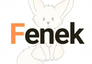 Logo Ogólnopolskiego Konkursu Przedmiotowego FENEK.
