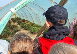 Klasa 2a podczas wycieczki na Ranczo Artemidy_zapoznanie z warzywami uprawianymi w ogrodach i na polach.