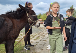 Klasa 2a podczas wycieczki na Ranczo Artemidy_zwiedzanie mini zoo i karmienie zwierząt.