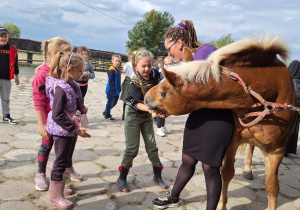 Klasa 2a podczas wycieczki na Ranczo Artemidy_zwiedzanie mini zoo i karmienie zwierząt.