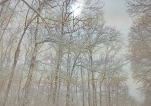 Plakat do utworu "Zimowy las" W. A. Mozarta.