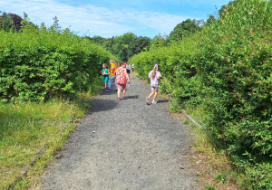 Piknik na łonie natury w klasach: 2a, 2b i 3b.