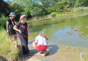 Piknik na łonie natury w klasach: 2a, 2b i 3b.