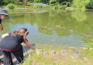 Piknik na łonie natury w klasach: 2a, 2b i 3b.