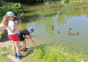 Piknik na łonie natury w klasach: 2a, 2b i 3b.