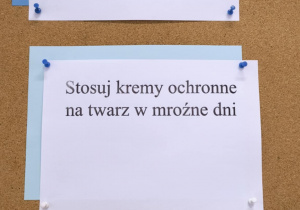 Bezpieczne ferie_zasady bhp widniejące na gazetce tematycznej.