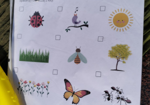 Zestaw wiosennych materiałów edukacyjnych.