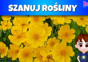 Świetlicowe zajęcia "Ochrona Środowiska" z edukacyjnego programu "Piątka dla natury"_plakat tematyczny.