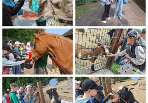 Żywa lekcja przyrody, czyli klasa 3a w Dobroniance_zwiedzanie mini zoo.