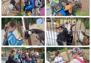 Żywa lekcja przyrody, czyli klasa 3a w Dobroniance_zwiedzanie mini zoo.