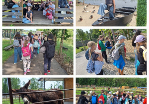 Żywa lekcja przyrody, czyli klasa 3a w Dobroniance_zwiedzanie mini zoo.