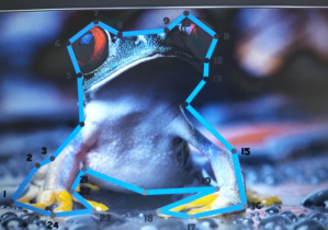 Europejski Tydzień Kodowania CodeWeek_przykładowa gra związana z kodowaniem.