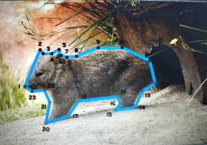 Europejski Tydzień Kodowania CodeWeek_przykładowa gra związana z kodowaniem.