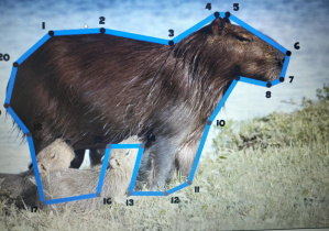 Europejski Tydzień Kodowania CodeWeek_przykładowa gra związana z kodowaniem.