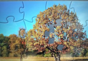 Europejski Tydzień Kodowania CodeWeek_przykładowa gra związana z kodowaniem.