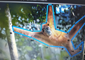 Europejski Tydzień Kodowania CodeWeek_przykładowa gra związana z kodowaniem.