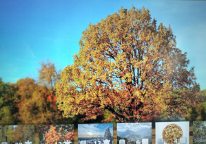 Europejski Tydzień Kodowania CodeWeek_przykładowa gra związana z kodowaniem.