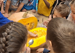 Budowa dyni_przyroda w działaniu praktycznym w klasie 1a_drążenie dyni.