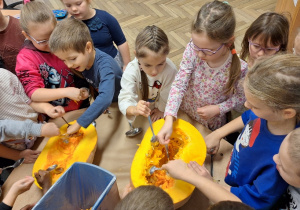 Budowa dyni_przyroda w działaniu praktycznym w klasie 1a_drążenie dyni.