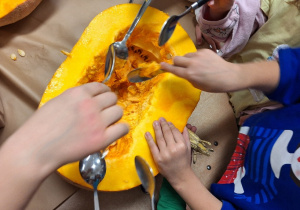 Budowa dyni_przyroda w działaniu praktycznym w klasie 1a_drążenie dyni.