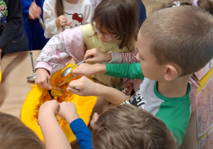 Budowa dyni_przyroda w działaniu praktycznym w klasie 1a_drążenie dyni.
