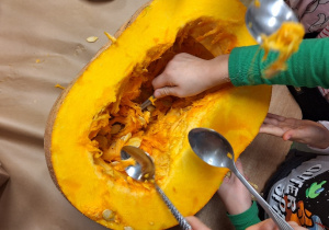 Budowa dyni_przyroda w działaniu praktycznym w klasie 1a_drążenie dyni.