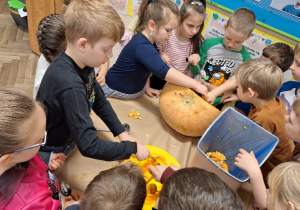 Budowa dyni_przyroda w działaniu praktycznym w klasie 1a_drążenie dyni.
