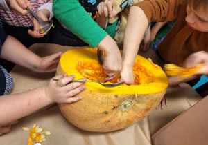 Budowa dyni_przyroda w działaniu praktycznym w klasie 1a_drążenie dyni.