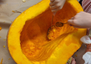 Budowa dyni_przyroda w działaniu praktycznym w klasie 1a_drążenie dyni.