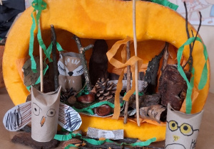 Budowa dyni_przyroda w działaniu praktycznym w klasie 1a_stroik.