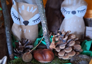 Budowa dyni_przyroda w działaniu praktycznym w klasie 1a_stroik.