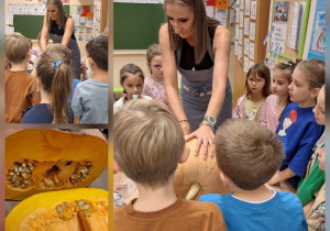 Budowa dyni_przyroda w działaniu praktycznym w klasie 1a_przygotowanie do drążenia dyni.