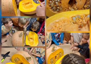 Budowa dyni_przyroda w działaniu praktycznym w klasie 1a_drążenie dyni.