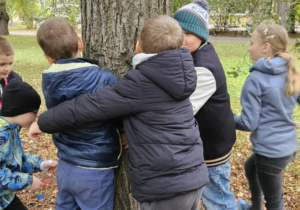 Klasa 2b i lekcja WF w plenerze_IV edycja akcji „Przytul się do drzewa”.