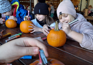 Lekcja przyrody w Sadach Klemensa_klasy: 1a i 1b podczas warsztatów dyniowych.