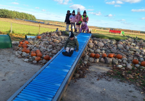 Lekcja przyrody w Sadach Klemensa_klasa 1a podczas zabaw ruchowych na świeżym powietrzu_Kretowisko.