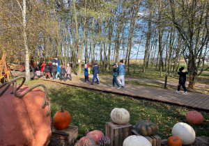 Lekcja przyrody w Sadach Klemensa_zwiedzanie terenu Sadów.